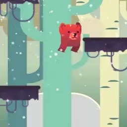 Wild Bear Adventure